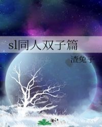 sl同人双子篇封面