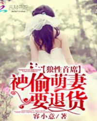 狼性首席:神偷萌妻要退货封面