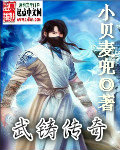武铸传奇封面