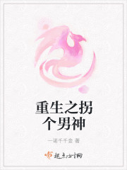 重生之拐个男神封面