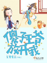 傻子王爷放开我封面