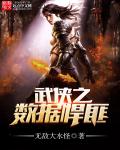 武侠之数据悍匪封面