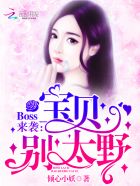 Boss来袭：宝贝，别太野封面