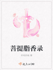菩提脂香录封面
