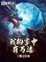 我的掌中有万法封面