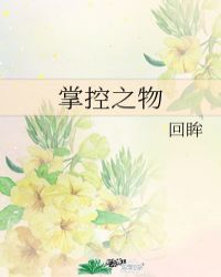 掌控之物封面