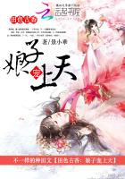 田色古香：娘子宠上天封面