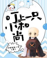 叮上一只小和尚封面