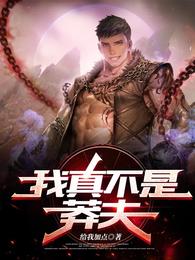 我真不是莽夫封面