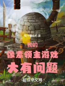 我的像素领主游戏大有问题封面