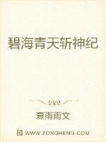 碧海青天斩神纪封面
