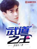 武道之王封面