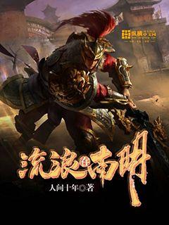 流浪在南明封面