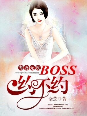 宠妻无度：boss约不约封面