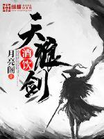 酒饮天狼剑封面