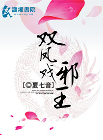 重生之双凤戏邪王封面