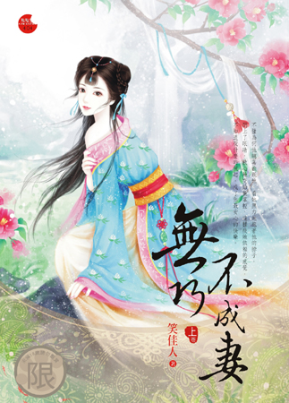 无巧不成妻 上封面