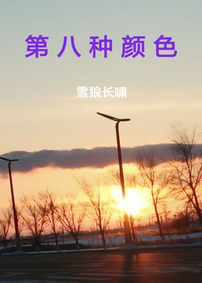 第八种颜色封面
