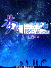 梦幻二零零七封面