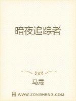 暗夜追踪者封面