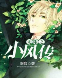 无限之小风传封面