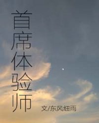 首席体验师封面