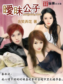 暧昧公子封面