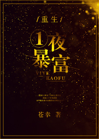 重生一夜暴富封面