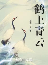 鹤上青云封面
