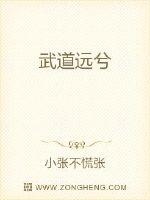 武道远兮封面