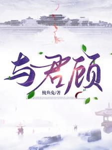 与君顾封面