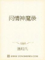 问情神魔录封面