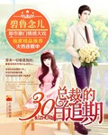 总裁的30日追期封面